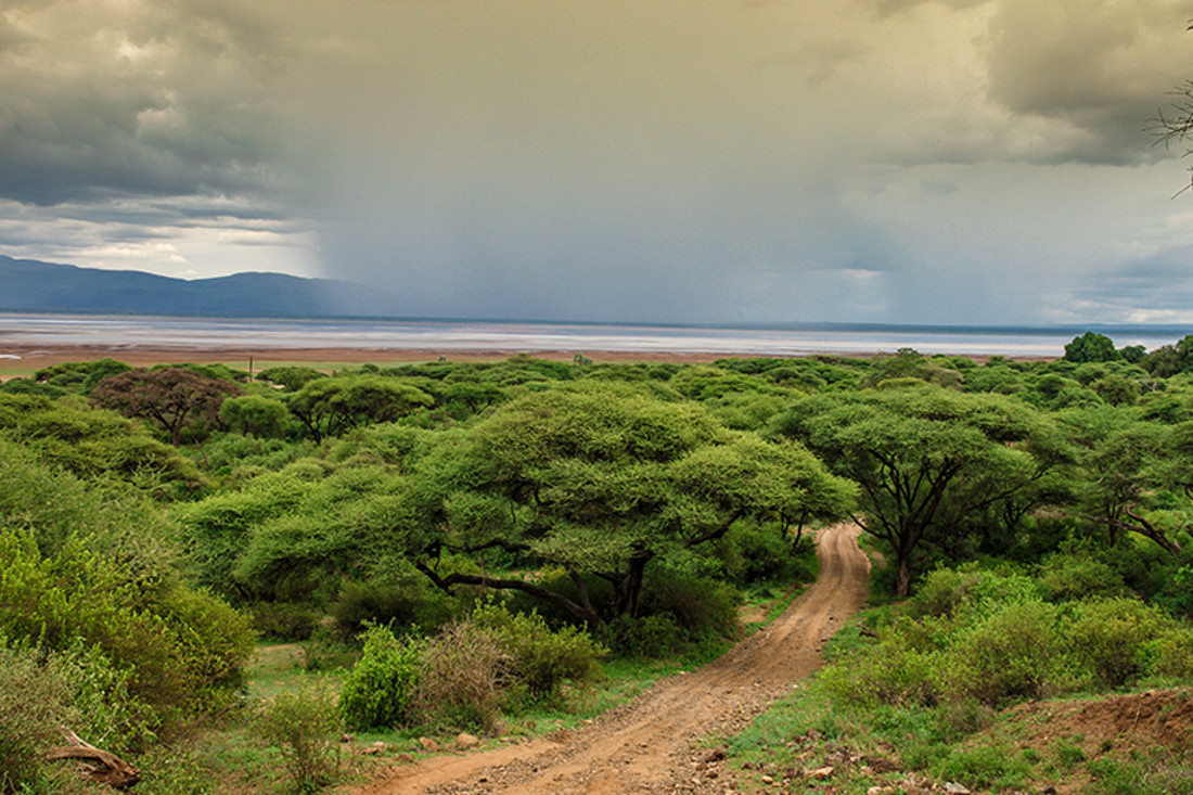 manyara 1 web
