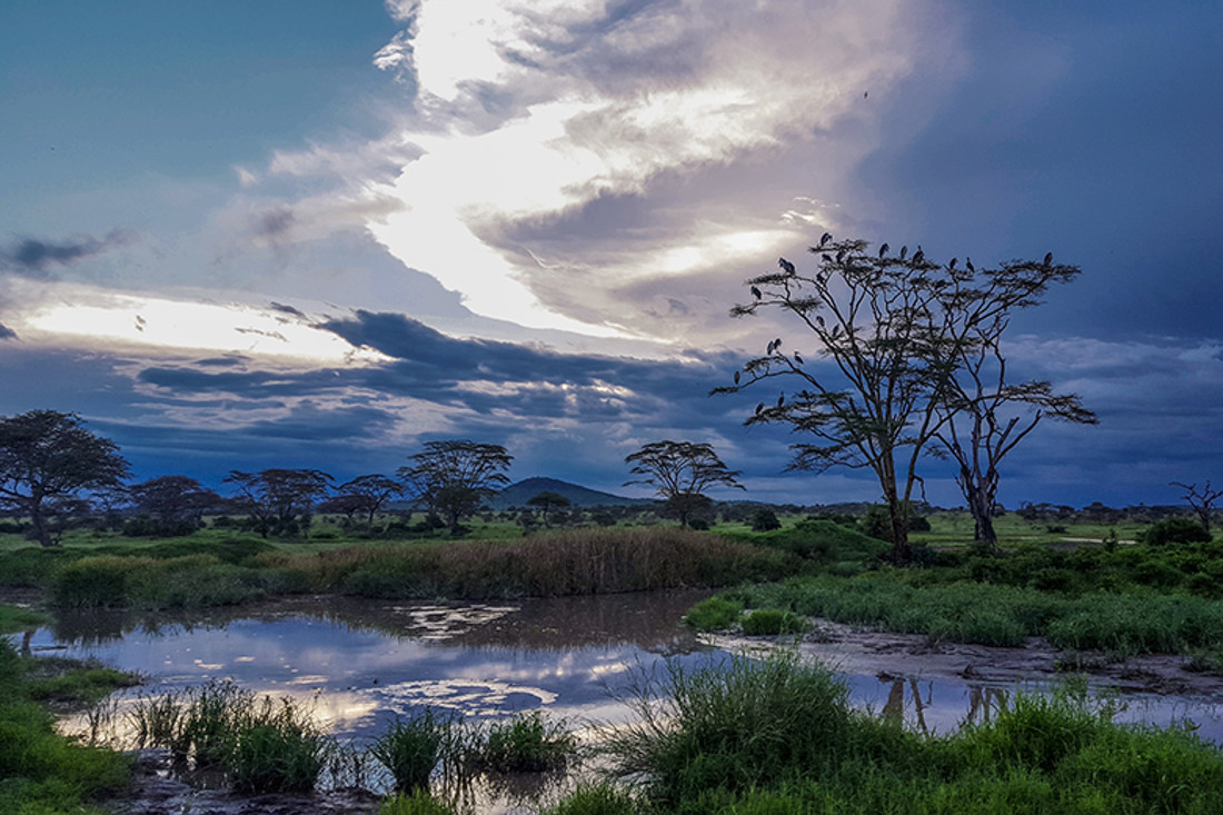 serengeti atardecer 2 web