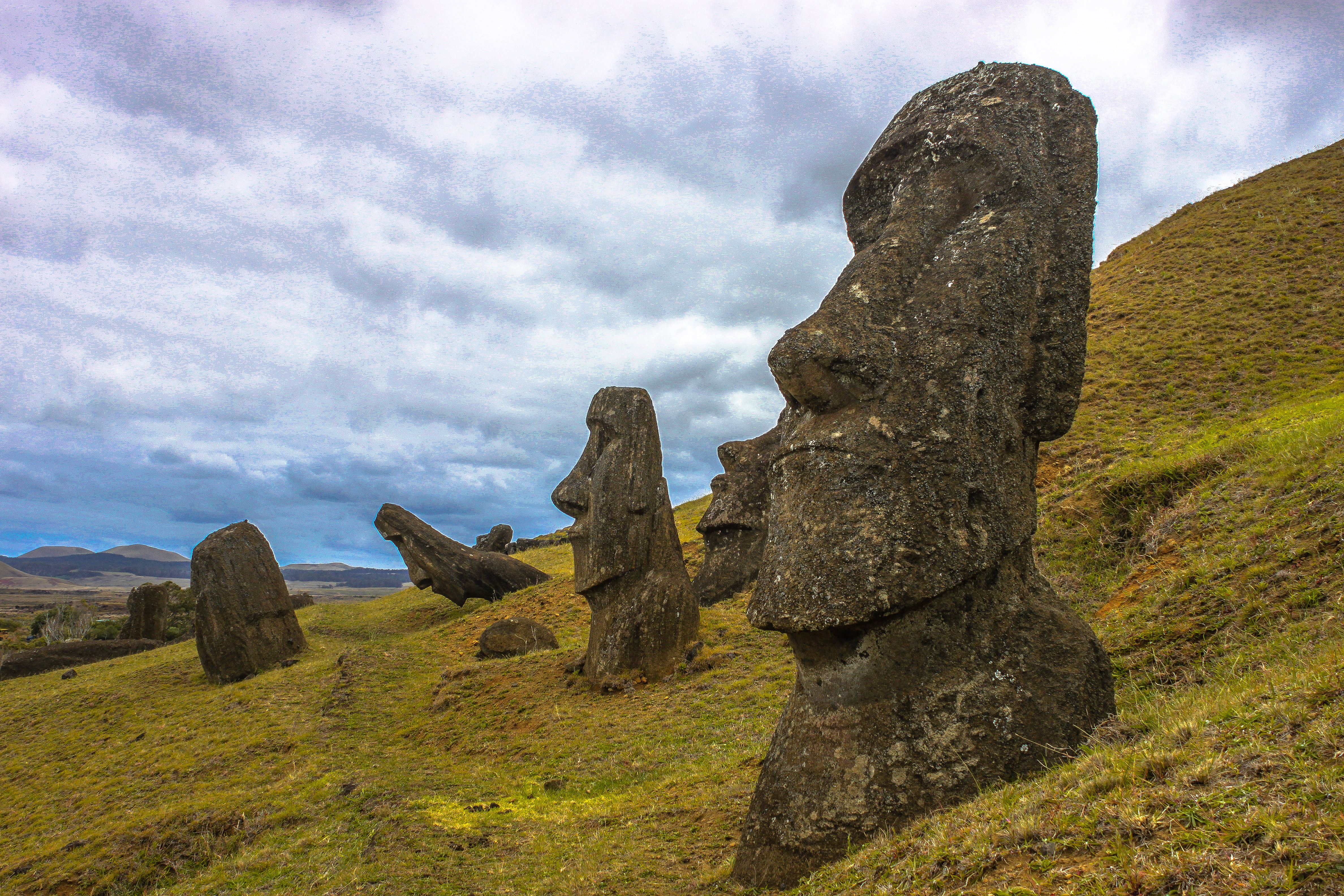 Isla de Pascua. Moais de la cantera Ranu Raraku